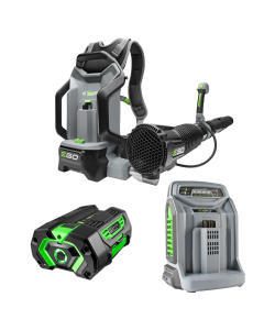 EGO Professional Rugbladblazer LB6000E incl accu (5,0Ah) en snellader